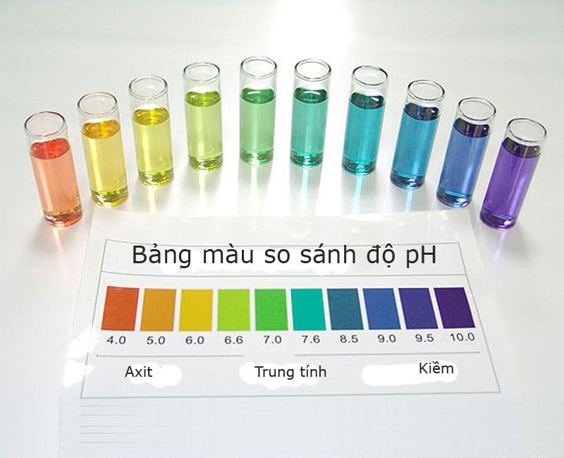 Nồng độ pH là một yếu tố quan trọng đến với sức khỏe con người