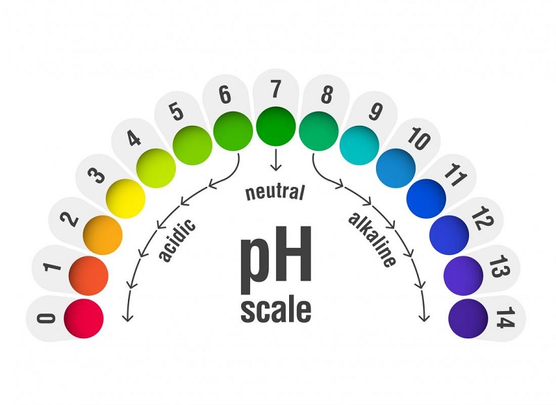 Có thể kiểm tra nồng độ pH của nước ngay tại nhà