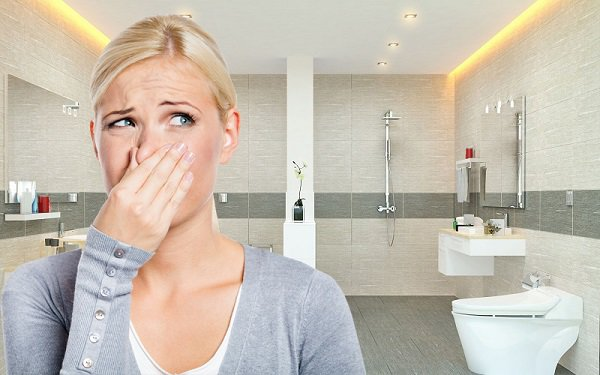 Nước sinh hoạt có mùi bể phốt